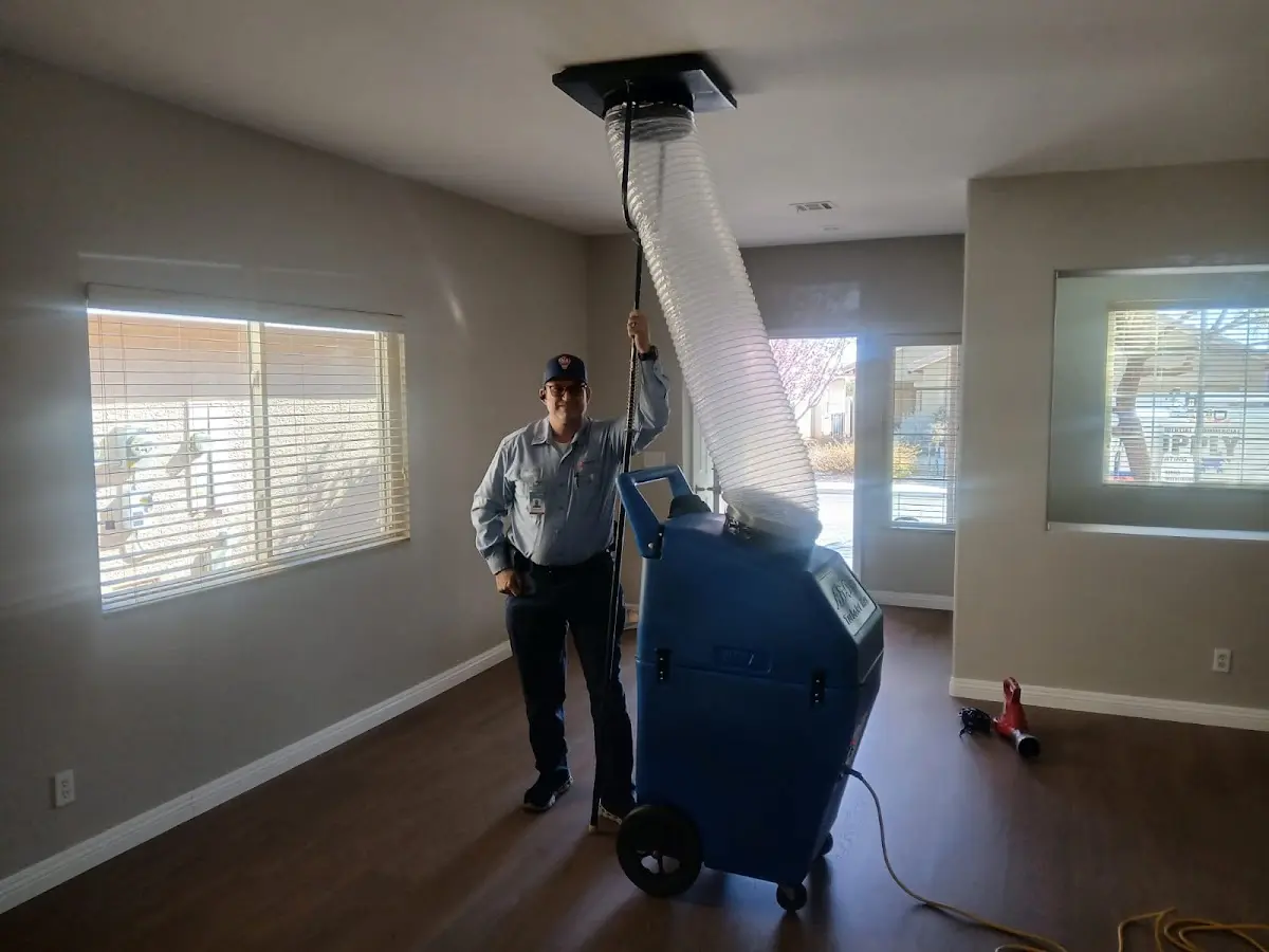 Professional Dryer Vent Cleaning work inside a Newstead home